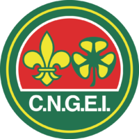 logo cngei